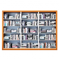 钢木书架     900mm*450mm*2000mm